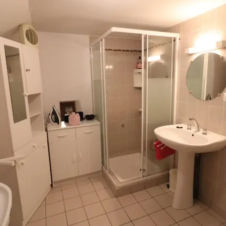 度假居 De Caractere Avec Billard, Cheminee, Jardin Clos Et Animaux Acceptes - Fr-1-742-611 *