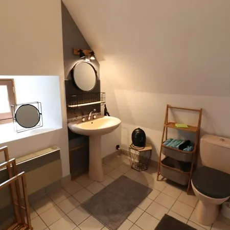De Caractere Avec Billard, Cheminee, Jardin Clos Et Animaux Acceptes - Fr-1-742-611